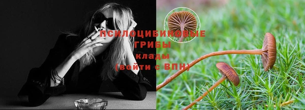 спиды Алексеевка