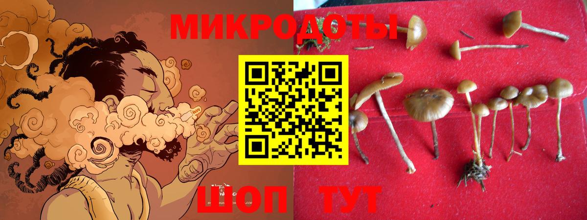 Псилоцибиновые грибы мицелий Тында